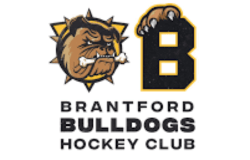 Brantford Bulldogs Hockey Club - Pynx Pro Sporting Event AV